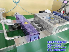 諸城廣元機(jī)械 多圖 青花魚拉伸膜自動(dòng)真空包裝機(jī)價(jià)格