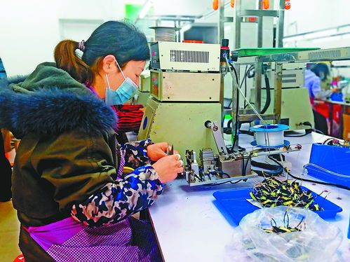 寶媽車(chē)間 助就業(yè)