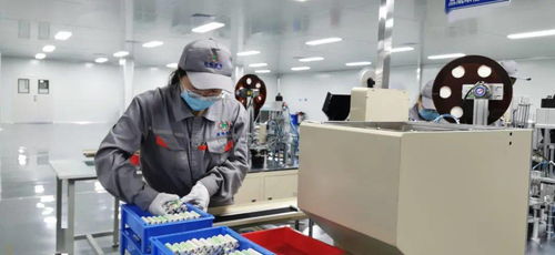 每天15萬(wàn) 金鯉魚(yú) 出 金 入 海 金拓鋰電新能源公司鋰電子正極材料及電池生產(chǎn)項(xiàng)目有序推進(jìn)